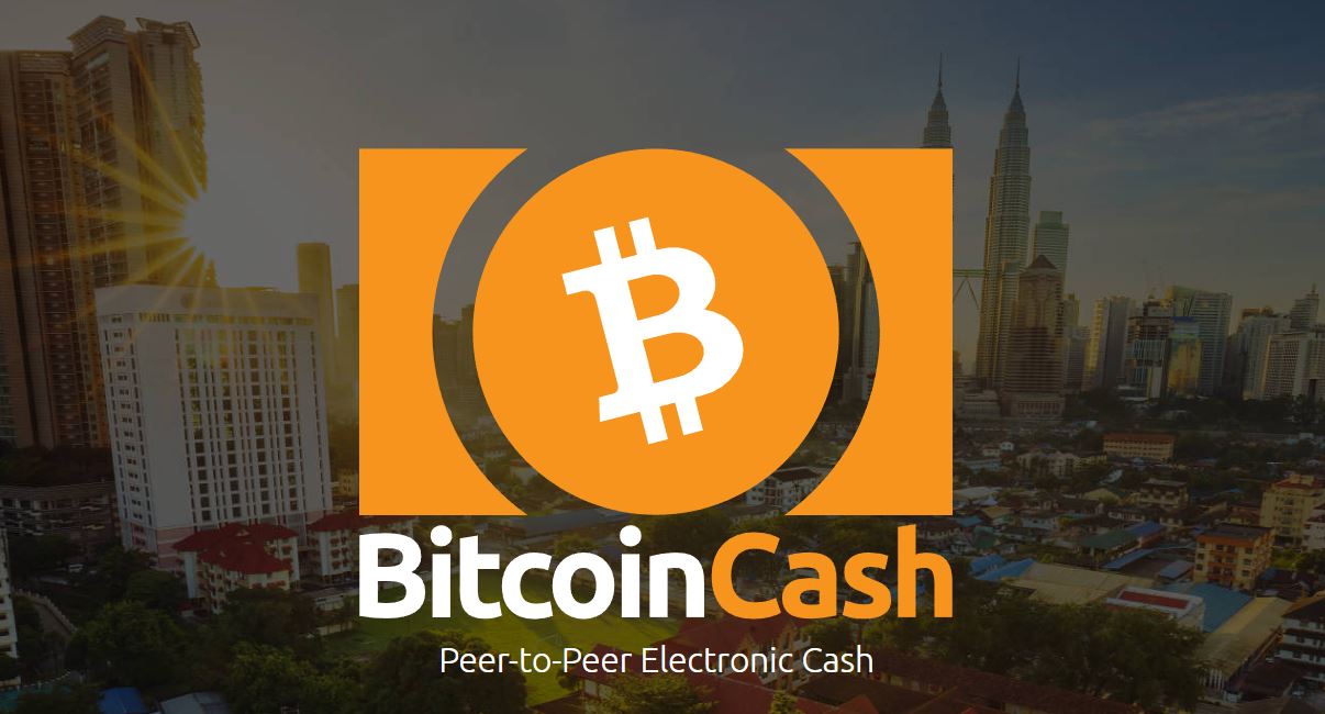 newcoin安卓版bitcoin官网下载