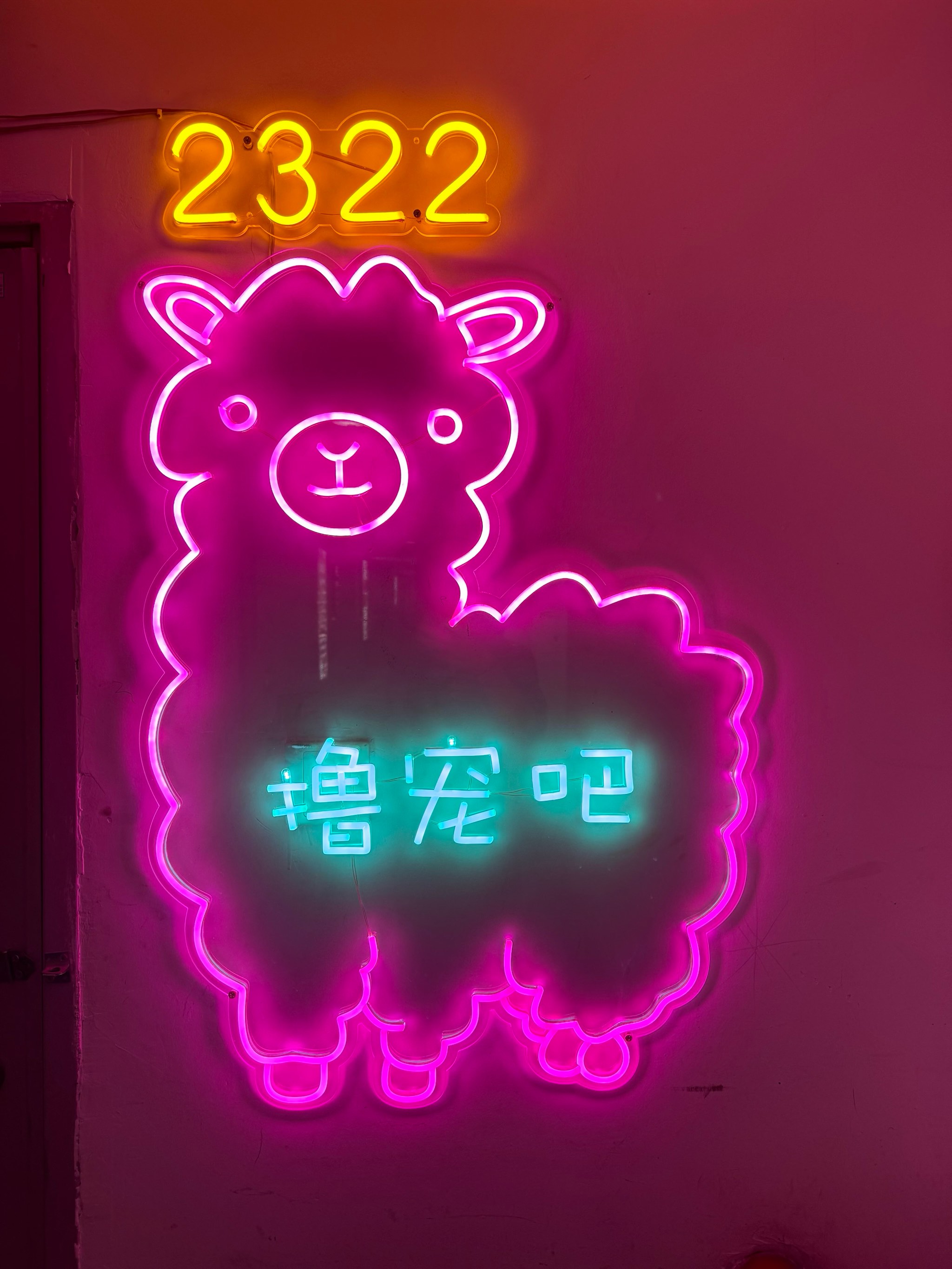 布偶星球手机版中文钓鱼星球手机版下载中文版