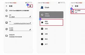 insanus安卓版ins安卓下载官网入口