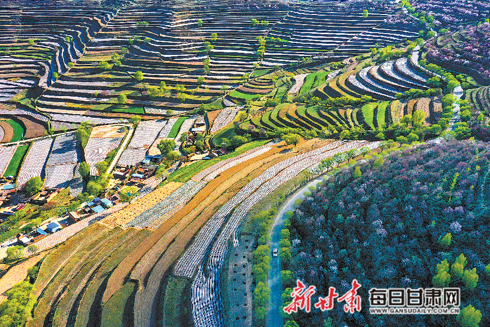 会宁新闻客户端会宁融媒客户端下载-第1张图片-太平洋在线下载