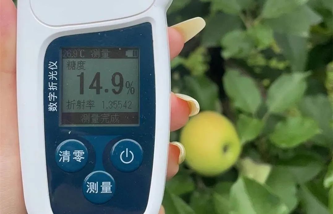 考松松苹果版苹果ios下载安装-第2张图片-太平洋在线下载