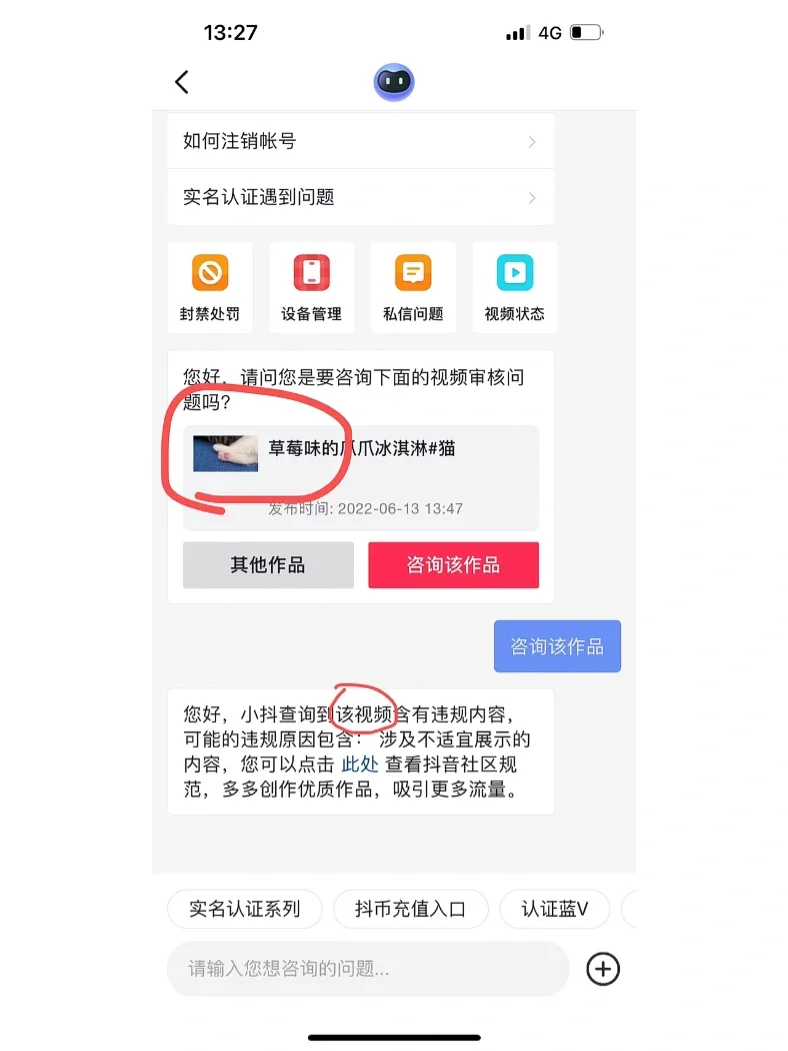 猫咪苹果版被封猫被抛弃后见到旧主人