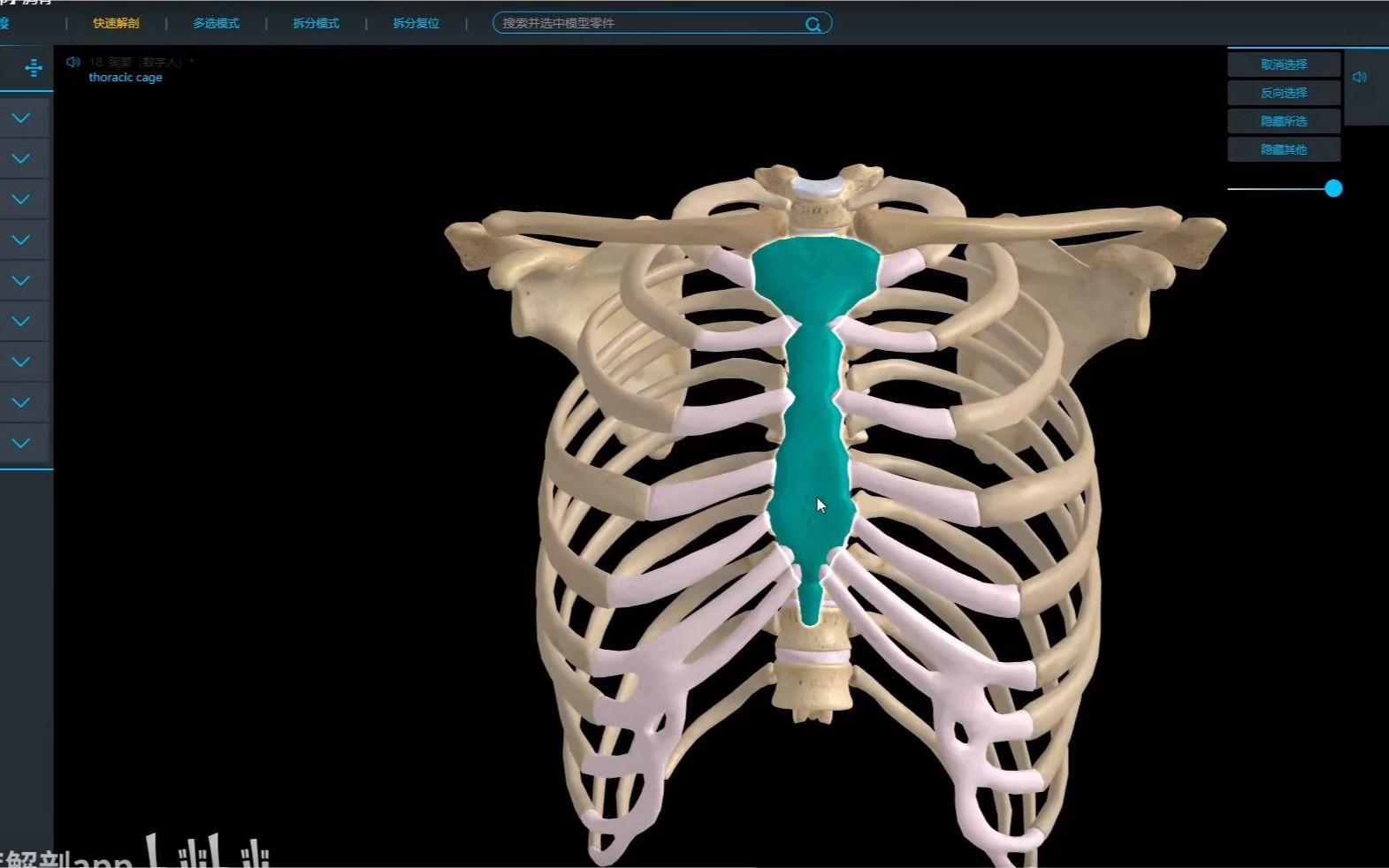 解剖app安卓版维萨里3d解剖电脑版-第2张图片-太平洋在线下载