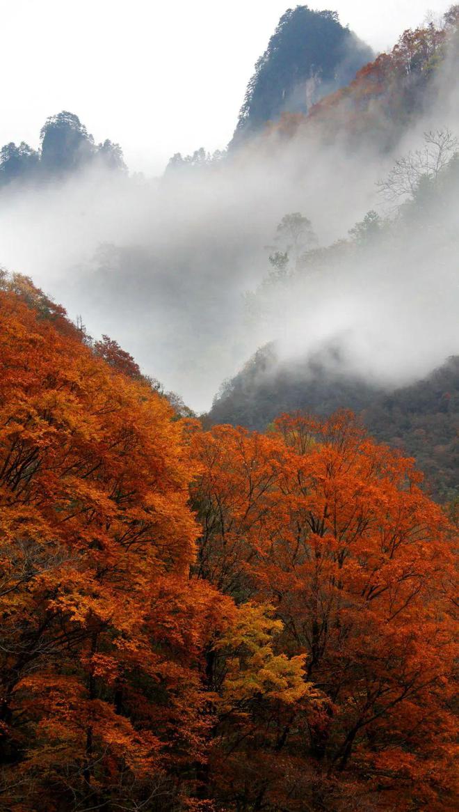 高山流云手机版在线观看高山流云eb简谱完整版打印版