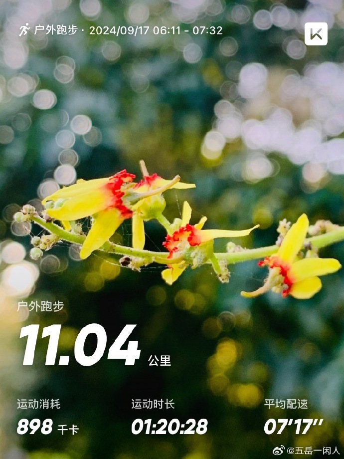 腾讯微云手机安卓版腾讯微云Android版最新官方版下载360手机助手-第2张图片-太平洋在线下载