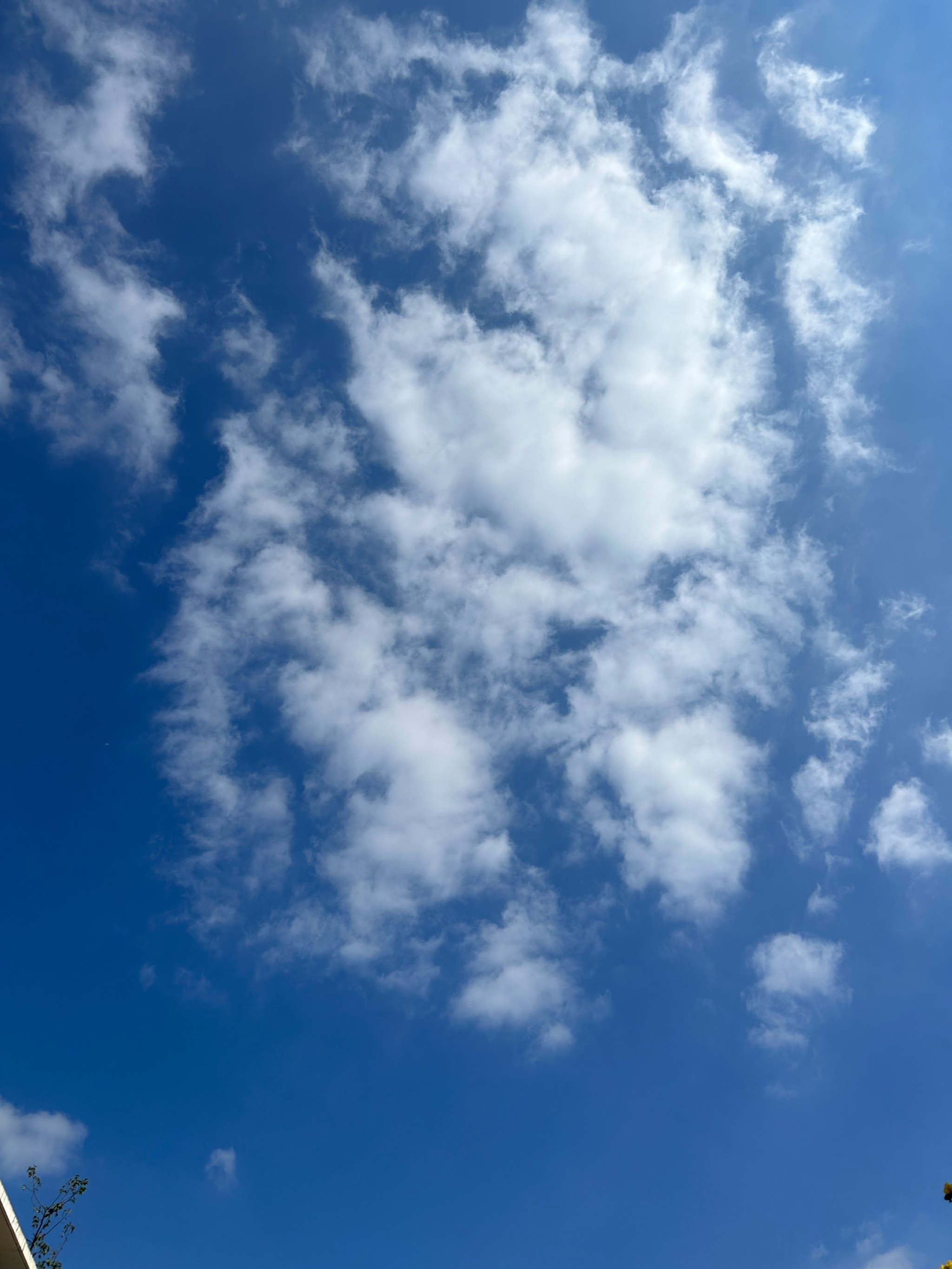 好美天气安卓版好美天气145-第2张图片-太平洋在线下载