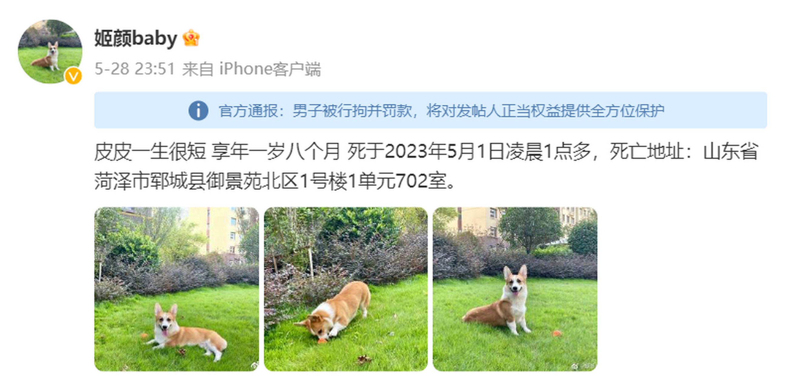 柯基客户端kejibear客户端官方-第2张图片-太平洋在线下载